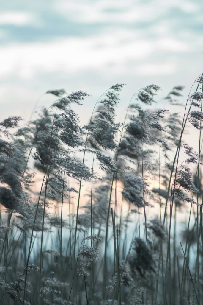 flexibilité face au stress